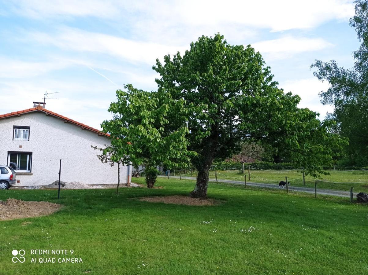 Ferienhaus A-b Roger